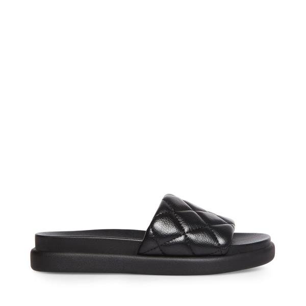 Steve Madden Abell Women\'s Sandals Black | SM-642EM