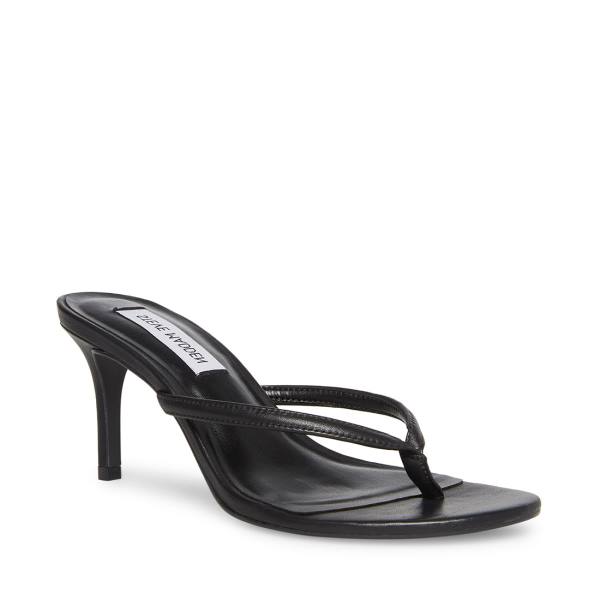 Steve Madden Addyson Leather Women's Heels Black | SM-605LY