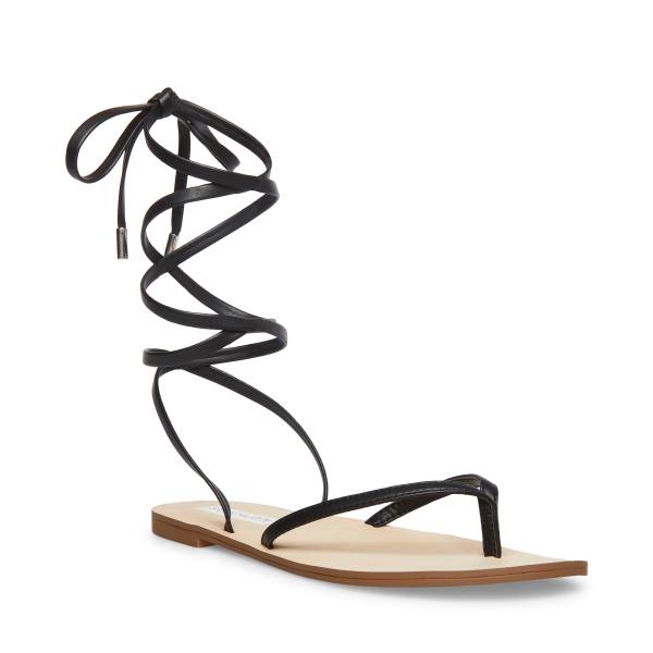 Steve Madden Anna Women's Sandals Black | SM-402GK