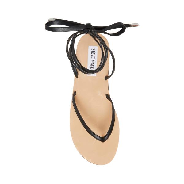 Steve Madden Anna Women's Sandals Black | SM-402GK