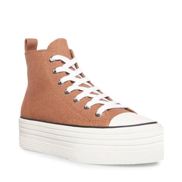 Steve Madden Berkley Mocha Women's Sneakers Beige | SM-734IB