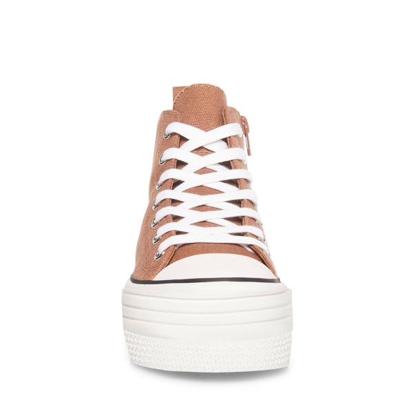 Steve Madden Berkley Mocha Women's Sneakers Beige | SM-734IB