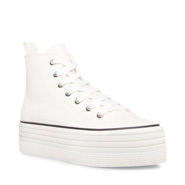 Steve Madden Berkley Women's Sneakers White | SM-529WT