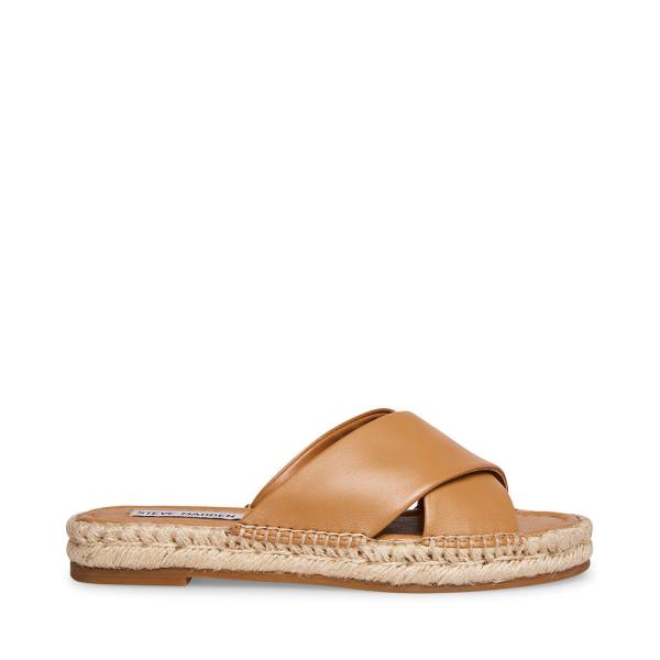 Steve Madden Brienna Tan Leather Women\'s Sandals Brown | SM-538HI