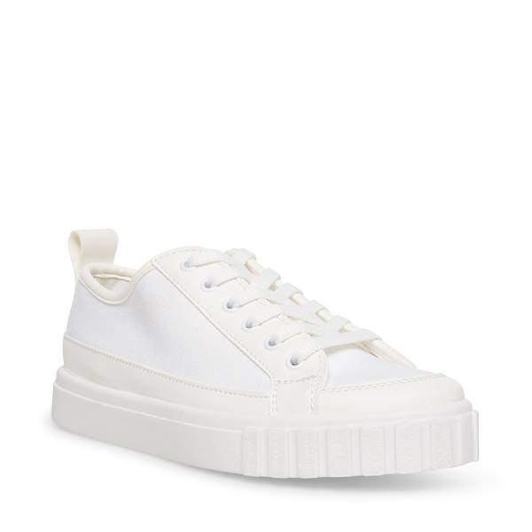 Steve Madden Caleb Women's Sneakers White | SM-904YL