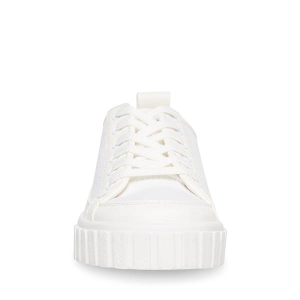 Steve Madden Caleb Women's Sneakers White | SM-904YL