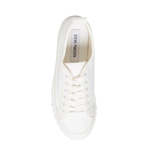 Steve Madden Caleb Women's Sneakers White | SM-904YL