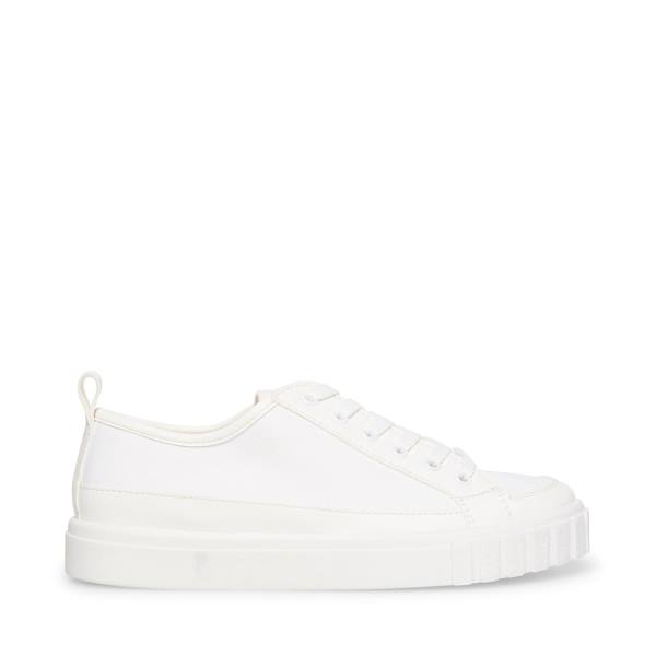 Steve Madden Caleb Women\'s Sneakers White | SM-904YL