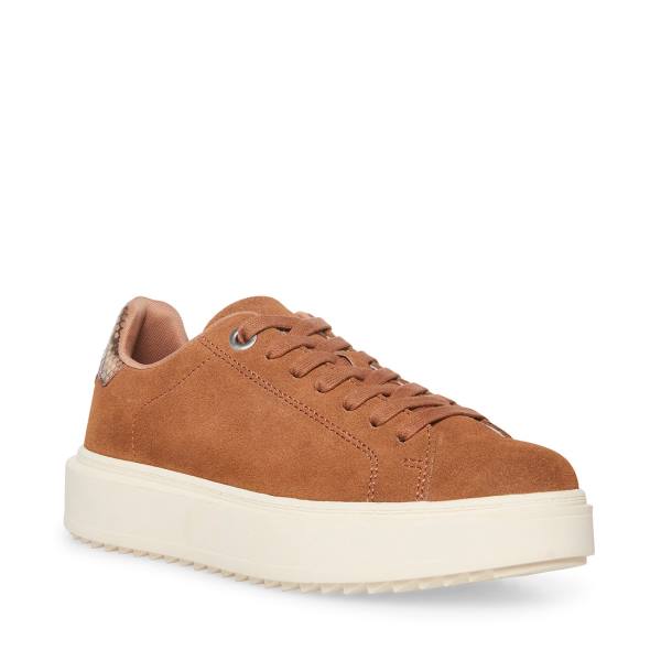 Steve Madden Catcher Mocha Women's Sneakers Beige | SM-678PF