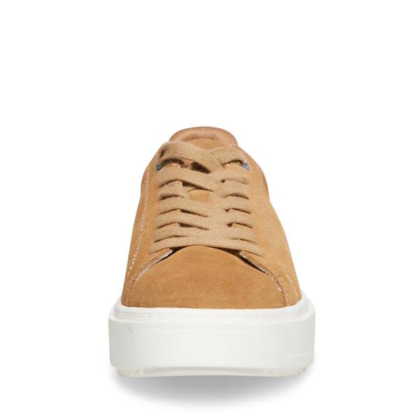 Steve Madden Catcher Taupe Suede Women's Sneakers Grey Brown | SM-593NA