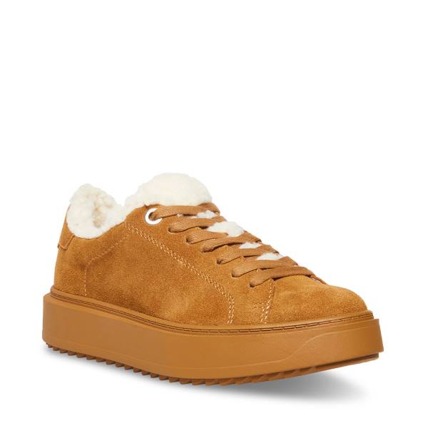 Steve Madden Catcher-f Chestnut Suede Women's Sneakers Brown | SM-537MF