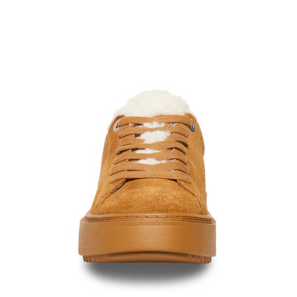 Steve Madden Catcher-f Chestnut Suede Women's Sneakers Brown | SM-537MF