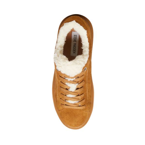 Steve Madden Catcher-f Chestnut Suede Women's Sneakers Brown | SM-537MF