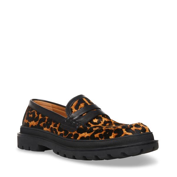 Steve Madden Charles Leopard Men's Loafers Leopard | SM-901JK