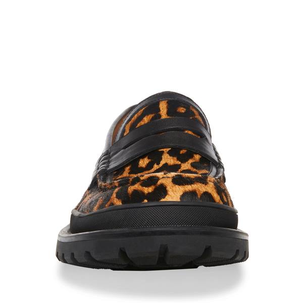 Steve Madden Charles Leopard Men's Loafers Leopard | SM-901JK