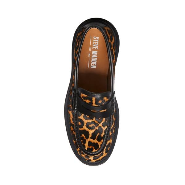 Steve Madden Charles Leopard Men's Loafers Leopard | SM-901JK