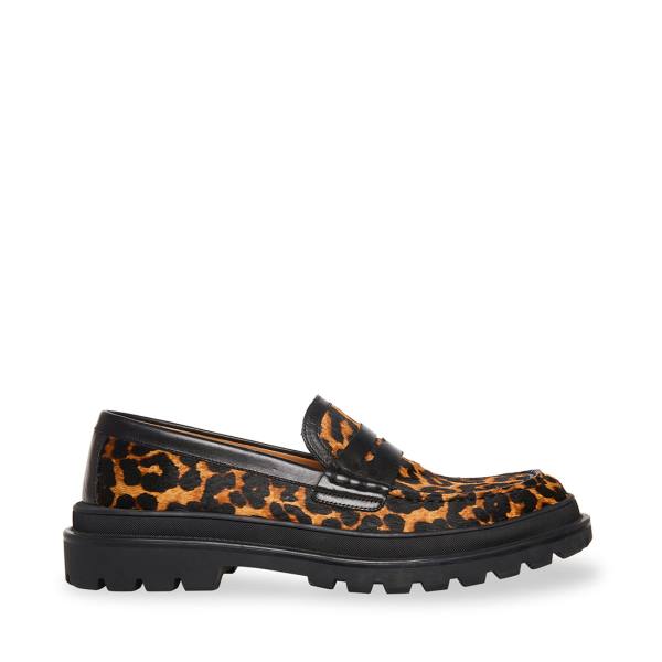 Steve Madden Charles Leopard Men\'s Loafers Leopard | SM-901JK