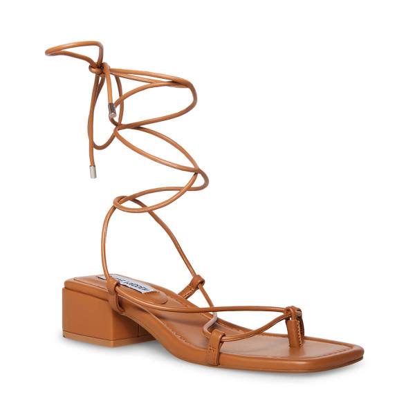 Steve Madden Claremont Tan Women's Sandals Dark Brown | SM-341TJ