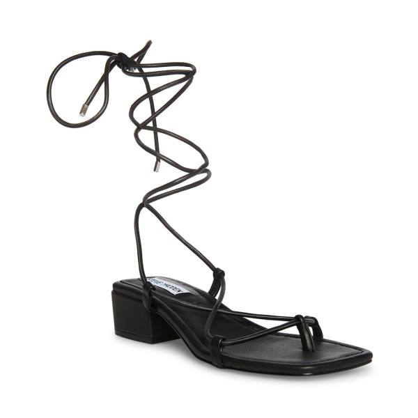 Steve Madden Claremont Women's Sandals Black | SM-596PF