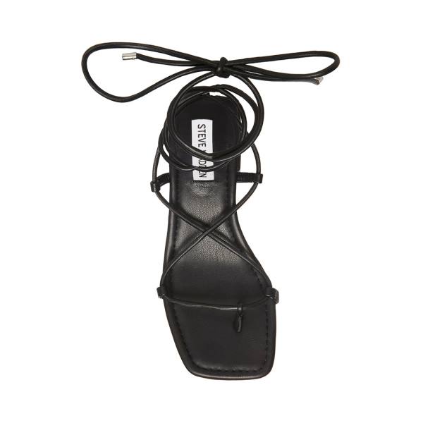 Steve Madden Claremont Women's Sandals Black | SM-596PF