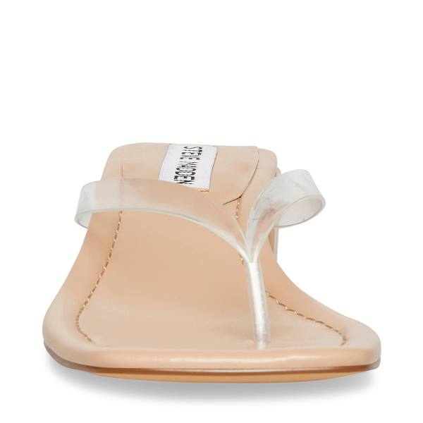 Steve Madden Claudette Women's Sandals Clear | SM-349TS