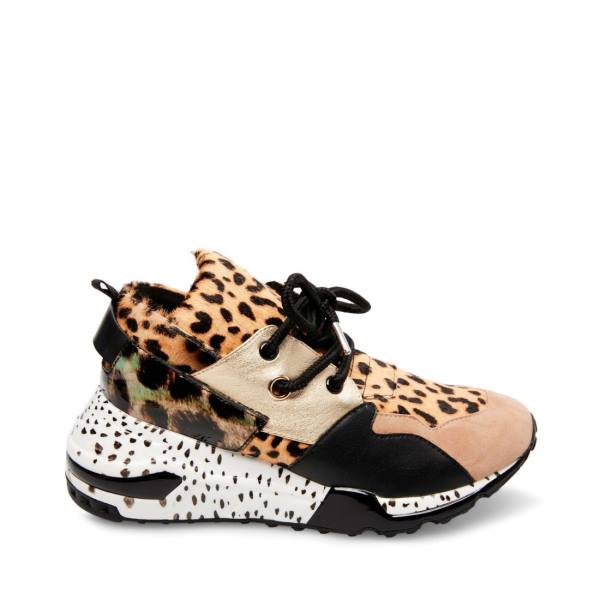 Steve Madden Cliff Women\'s Sneakers Leopard | SM-045JH