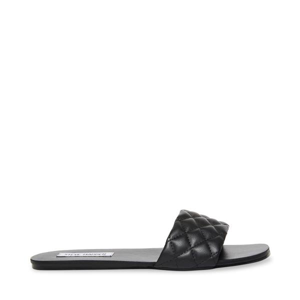 Steve Madden Damaris Women\'s Sandals Black | SM-795AL