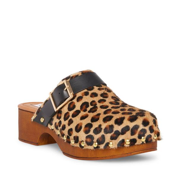 Steve Madden Dana-p Leopard Women's Heels Leopard | SM-297EZ