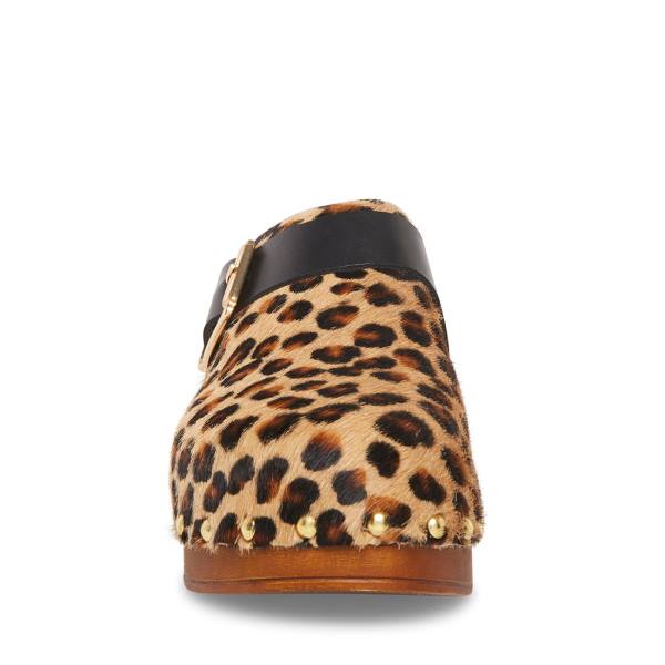 Steve Madden Dana-p Leopard Women's Heels Leopard | SM-297EZ