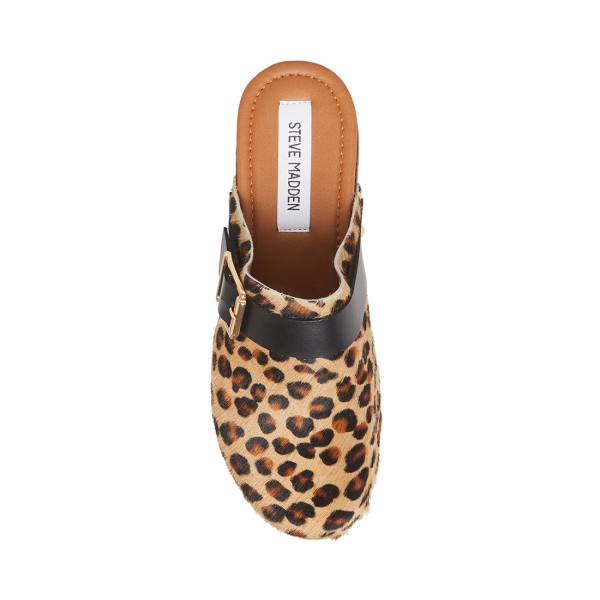 Steve Madden Dana-p Leopard Women's Heels Leopard | SM-297EZ