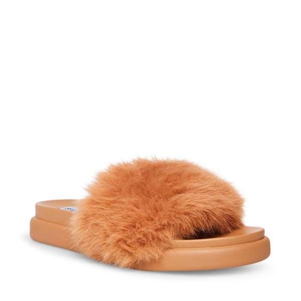 Steve Madden Delphina Tan Women's Slippers Brown | SM-578TQ