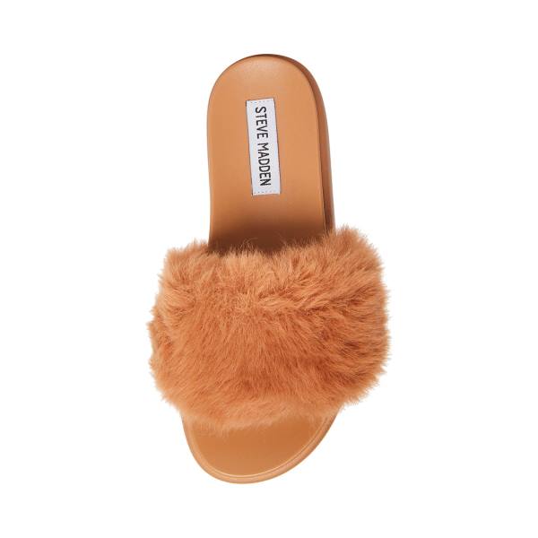 Steve Madden Delphina Tan Women's Slippers Brown | SM-578TQ