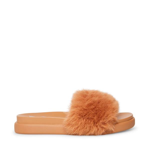 Steve Madden Delphina Tan Women\'s Slippers Brown | SM-578TQ