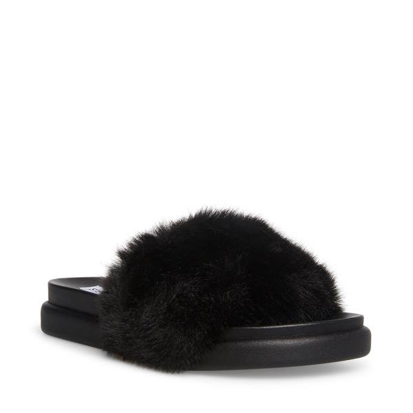 Steve Madden Delphina Women's Slippers Black | SM-472HK