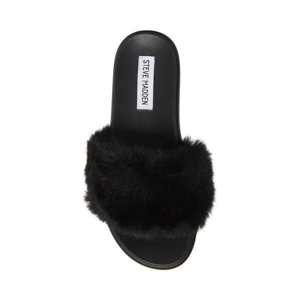 Steve Madden Delphina Women's Slippers Black | SM-472HK