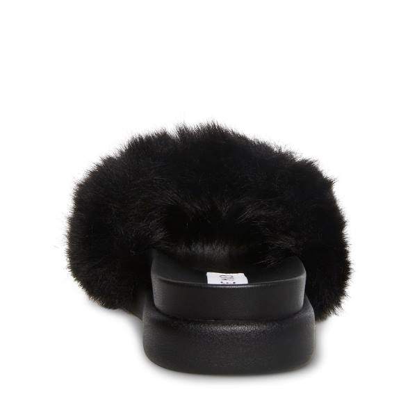 Steve Madden Delphina Women's Slippers Black | SM-472HK