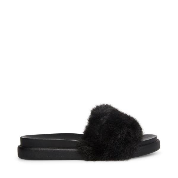 Steve Madden Delphina Women\'s Slippers Black | SM-472HK