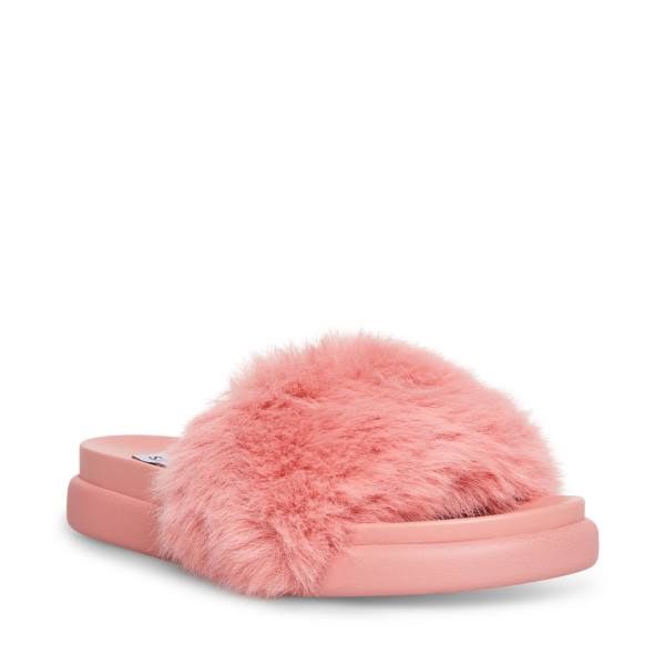 Steve Madden Delphina Women's Slippers Pink | SM-834TX