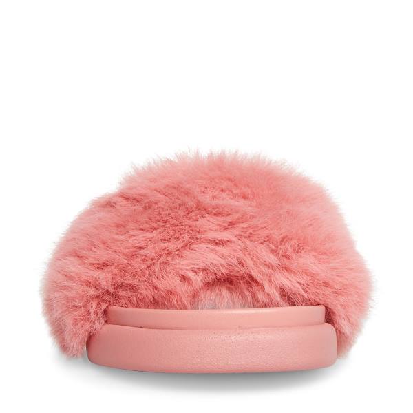 Steve Madden Delphina Women's Slippers Pink | SM-834TX