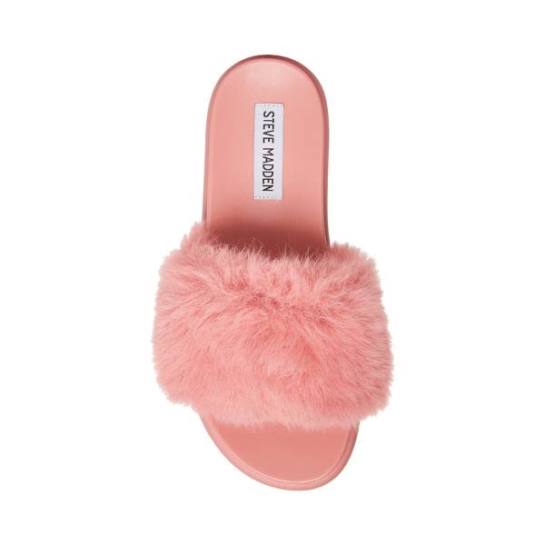 Steve Madden Delphina Women's Slippers Pink | SM-834TX