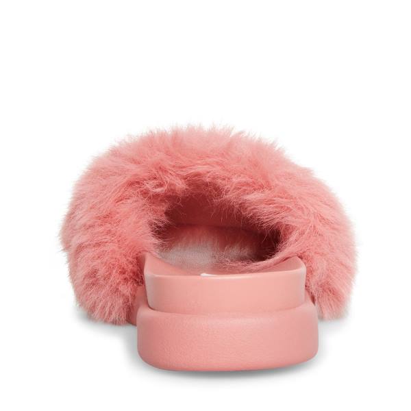 Steve Madden Delphina Women's Slippers Pink | SM-834TX