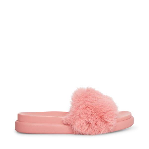 Steve Madden Delphina Women\'s Slippers Pink | SM-834TX