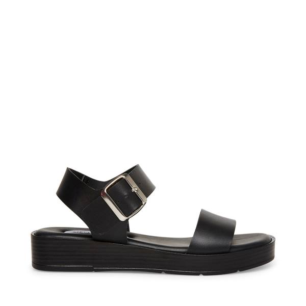 Steve Madden Destined Leather Women\'s Sandals Black | SM-021ZF