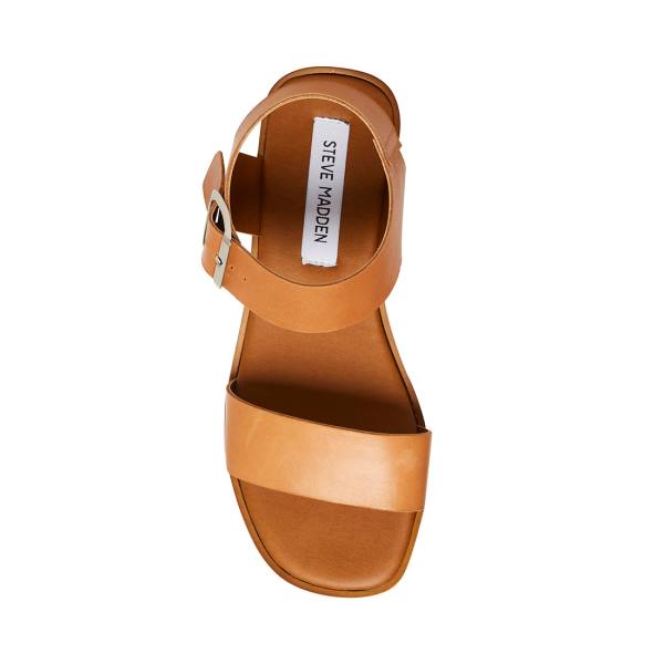 Steve Madden Destined Tan Leather Women's Sandals Brown | SM-415GL