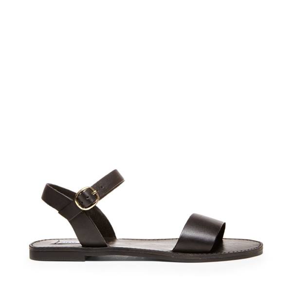 Steve Madden Donddi Leather Women\'s Sandals Black | SM-613QB