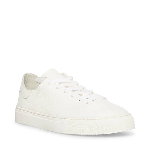 Steve Madden Dorey Leather Women's Sneakers White | SM-964MB