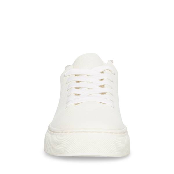 Steve Madden Dorey Leather Women's Sneakers White | SM-964MB