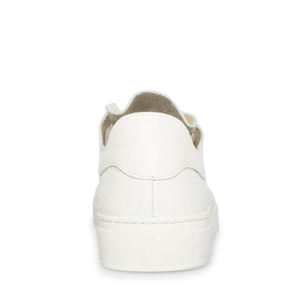 Steve Madden Dorey Leather Women's Sneakers White | SM-964MB