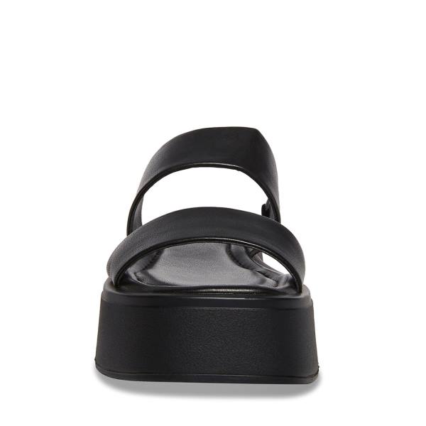 Steve Madden Dorian Women's Sandals Black | SM-597WO