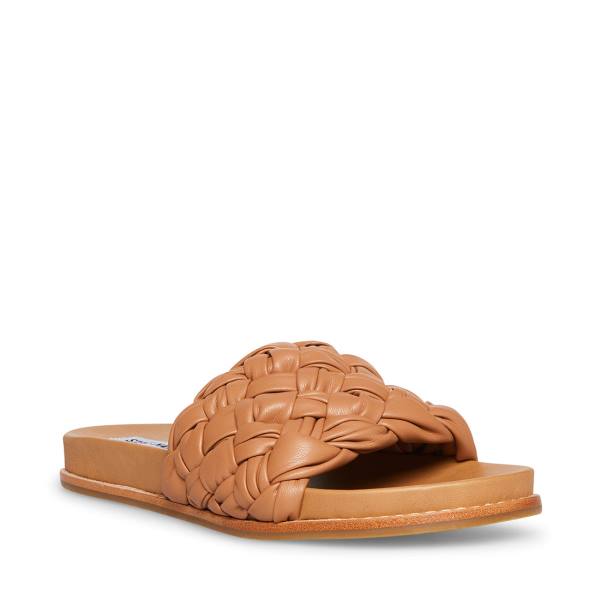 Steve Madden Dua Tan Women's Sandals Brown | SM-140FQ